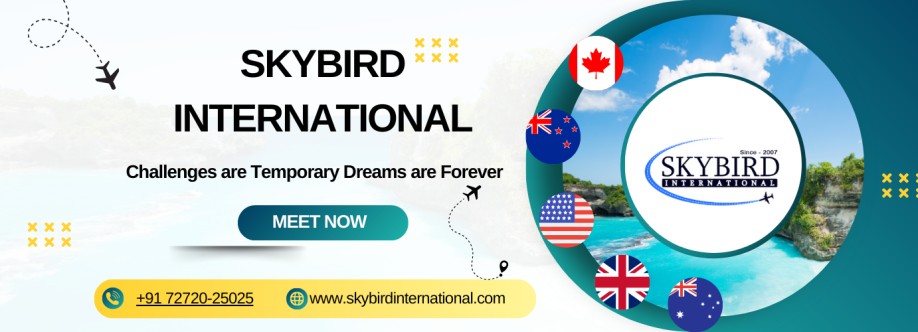 Skybird International Cover Image