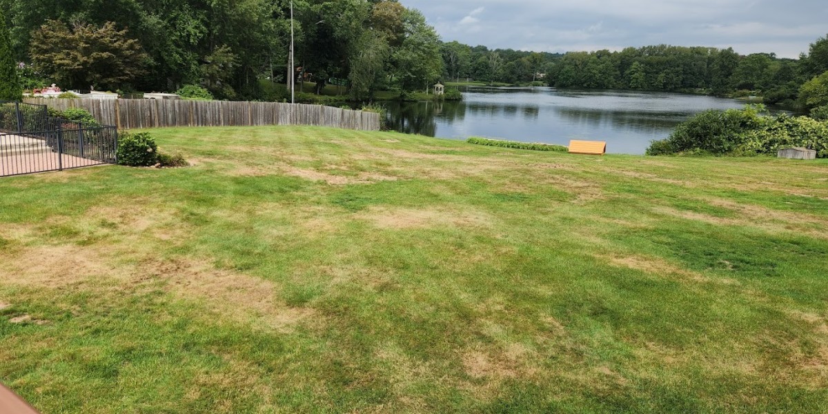 Why Choosing a Local Lawn Service is the Best Decision for Your Yard