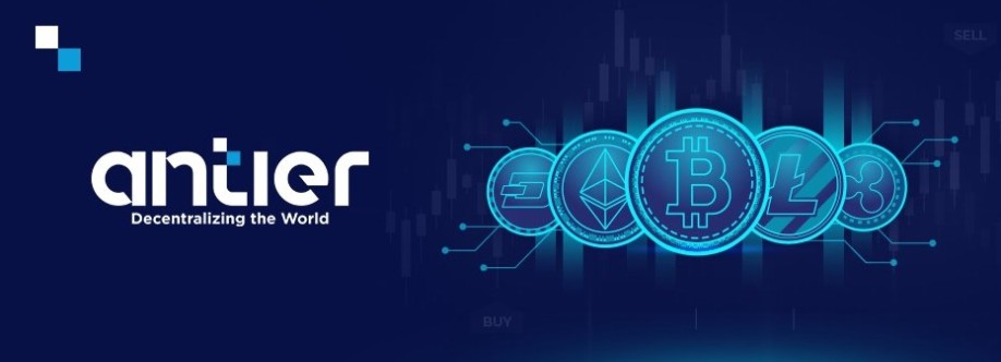 Auto Crypto Trading Software Cover Image