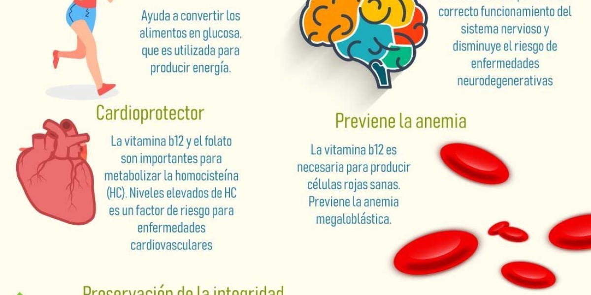 Romero, la hierba aromática de puro sabor mediterráneo: propiedades, beneficios y 15 recetas para sacarle partido