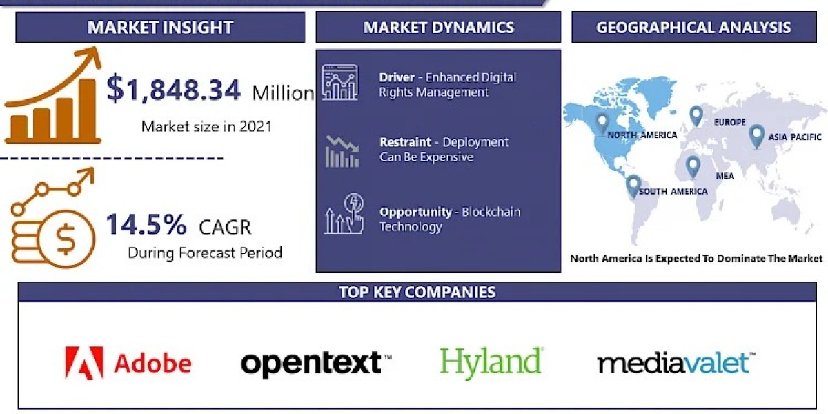 Digital Asset Management Market Business Growth Opportunities 2032