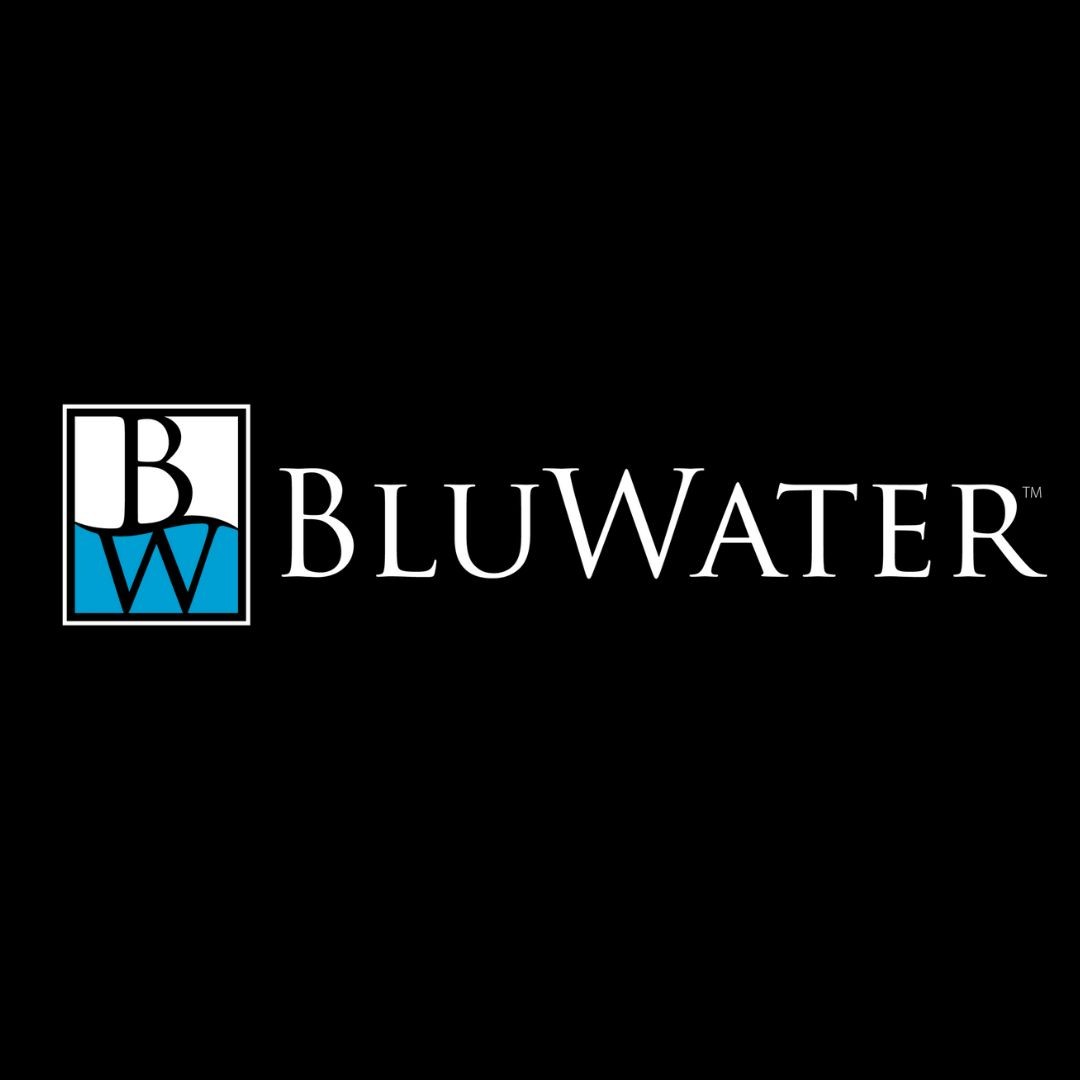 The BluWater Group Profile Picture