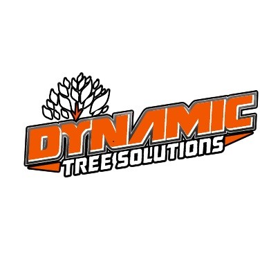 Dynamictreesolutions Profile Picture