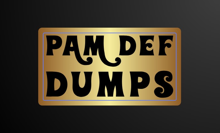 PAMDEFDumps4 Profile Picture