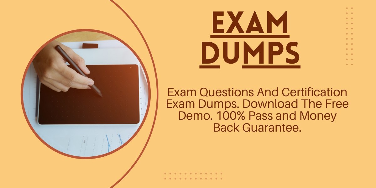 Your Source for Top-Notch Exam Dumps