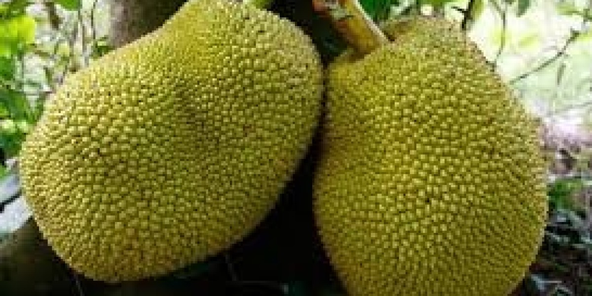 An Easy Guide to Jackfruit Farming in India