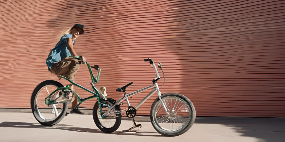 The Advent of Hybrid Bicycles: Can BMX and Cruiser Elements be Mixed?