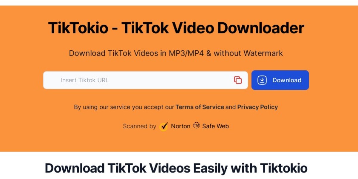 Understanding the Demand for TikTok Video Downloaders