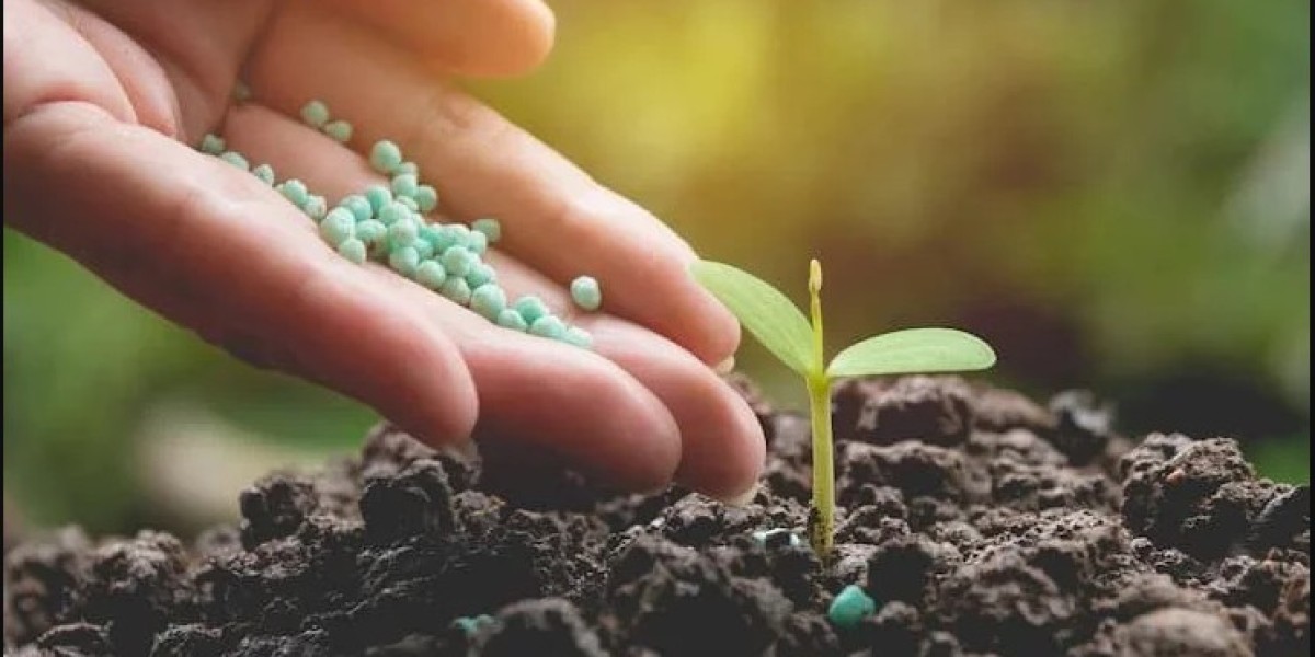 Biofertilizer Market 2024-2032: Industry Growth, Share, Size, Key Players Analysis & Forecast