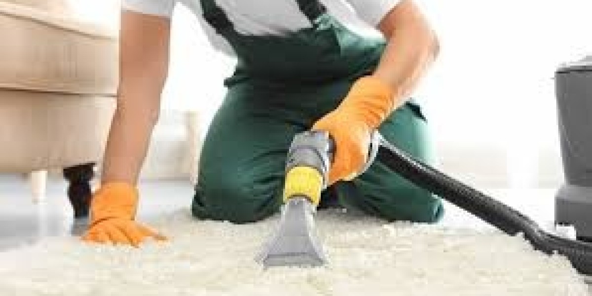 How Expert Carpet Cleaning Services Enhance Home Comfort