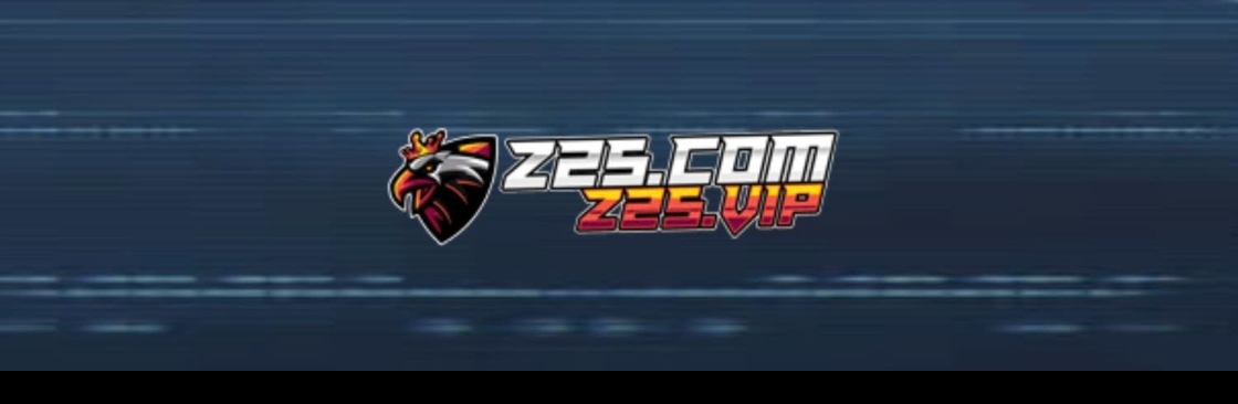 Z25 B Cover Image