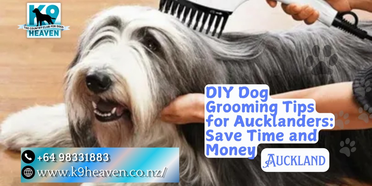 DIY Dog Grooming Tips for Aucklanders: Save Time and Money