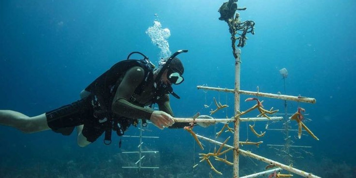 Diving in Hurghada offers a spectacular underwater