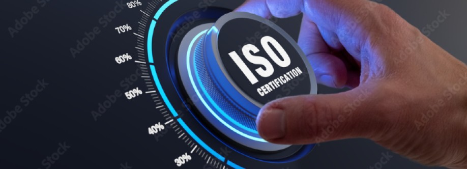 The ISO Consultant Cover Image