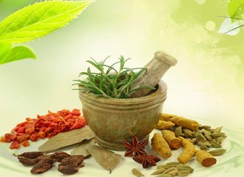 Best Ayurvedic PCD pharma franchise | Best Herbs