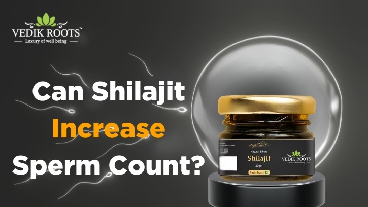 Ayurvedic Herbs: Can Shilajit Increase Sperm Count?