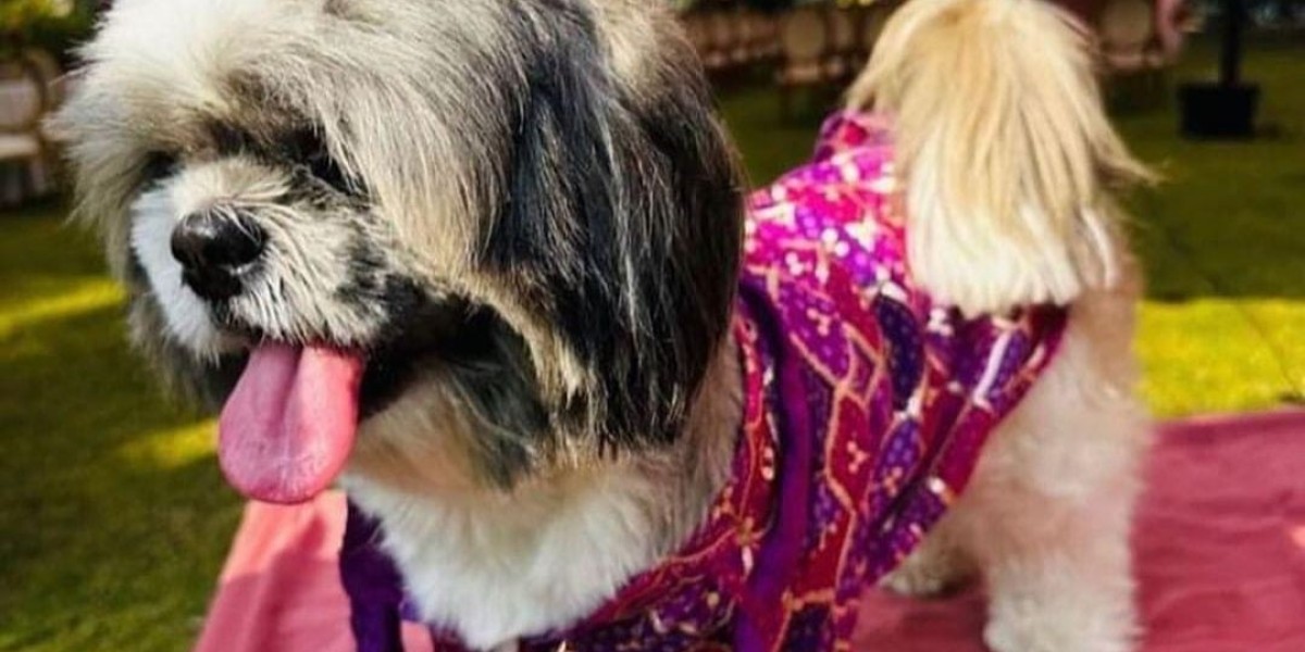 Stylish Dog Kurta and Dog Lehenga for Your Pet