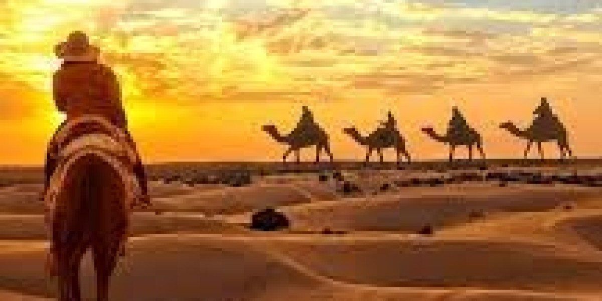 Camel Safaris and Sand Dunes: Immerse Yourself in Jaisalmer's Desert Oasis