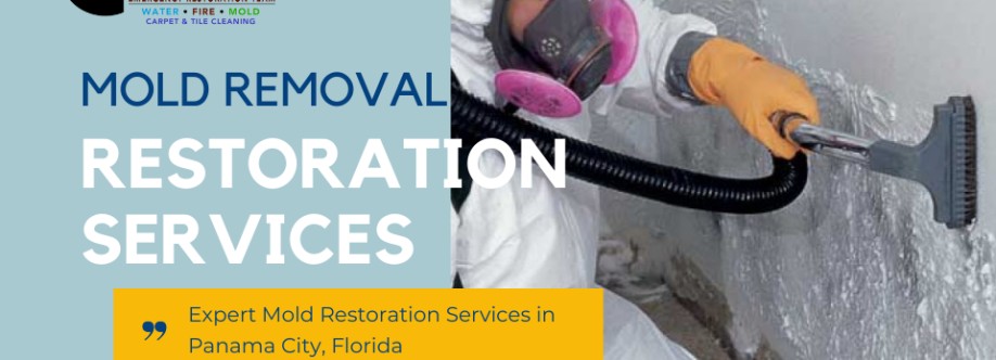 Mold Removal  Restoration S Profile Picture