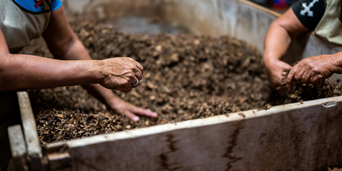 From Field to Greenhouse: The Impact of Liquid Fertilizers on Horticultural Productivity