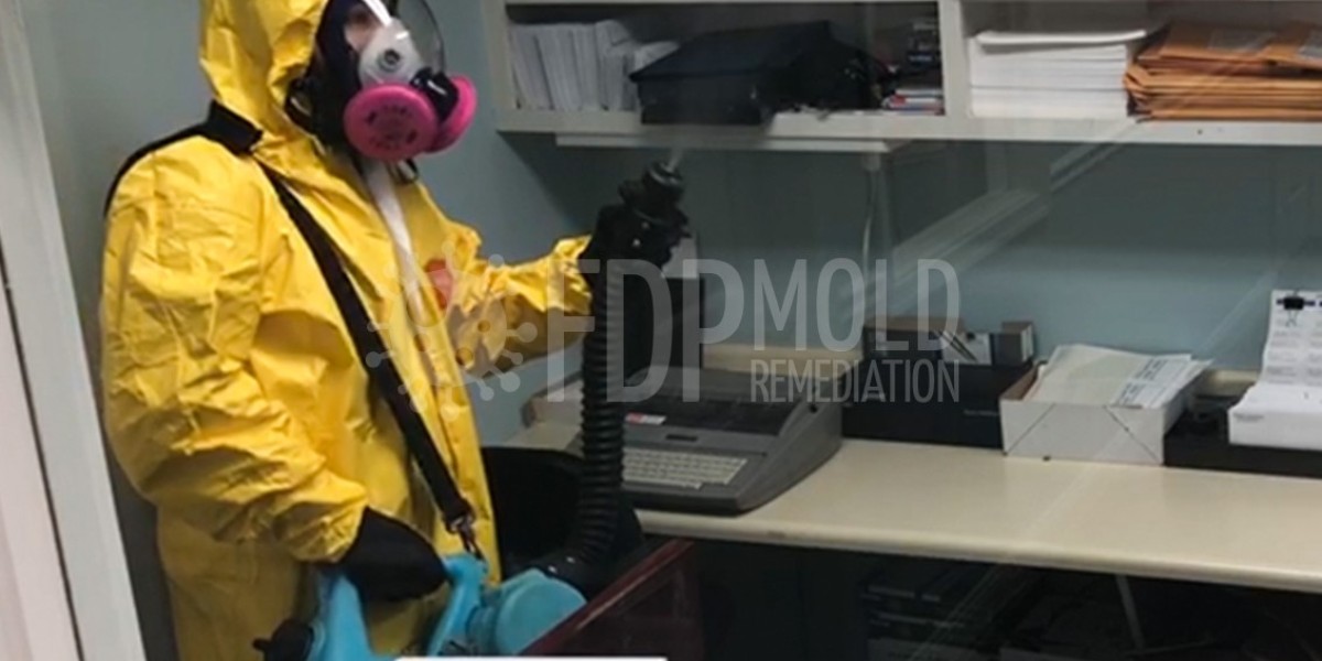 Mold Remediation and Testing: Protect Your Health and Home