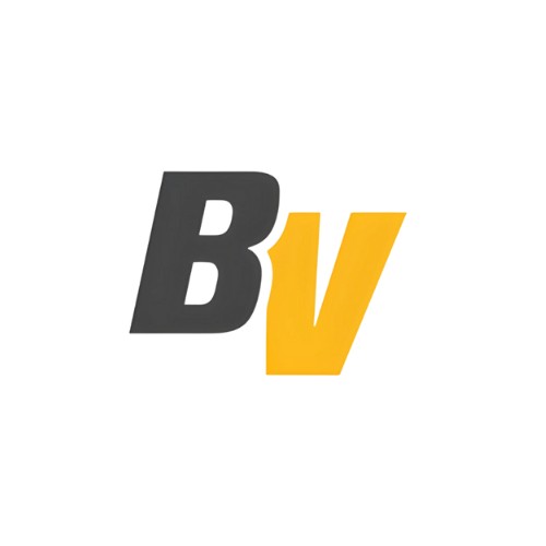 BETVISA Profile Picture