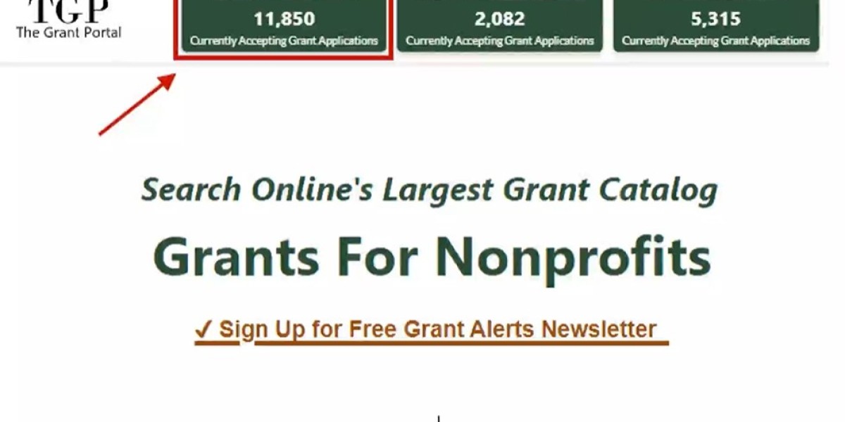 How to Leverage Grants for Nonprofit Visibility and Credibility