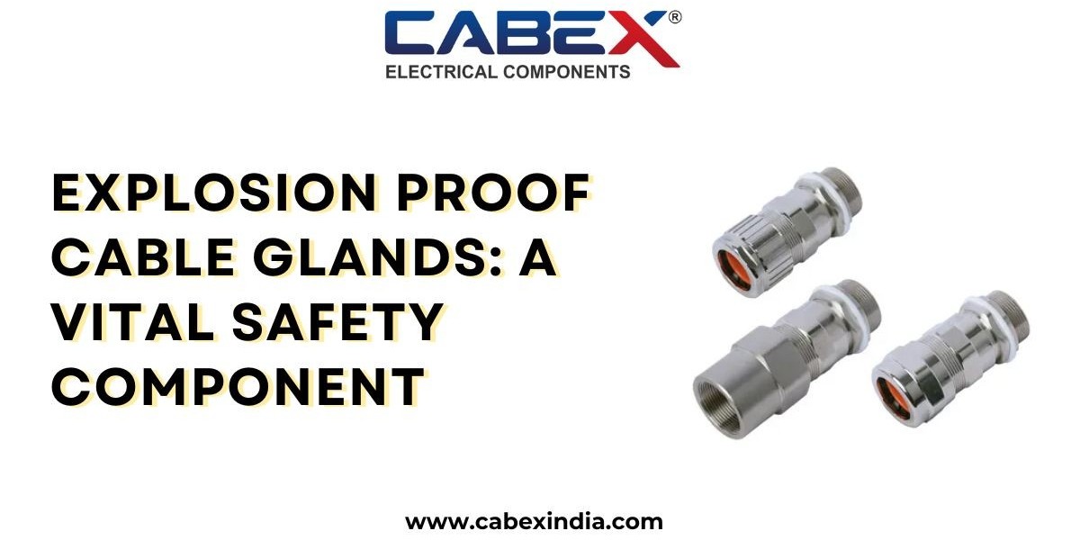 Explosion Proof Cable Glands: A Vital Safety Component