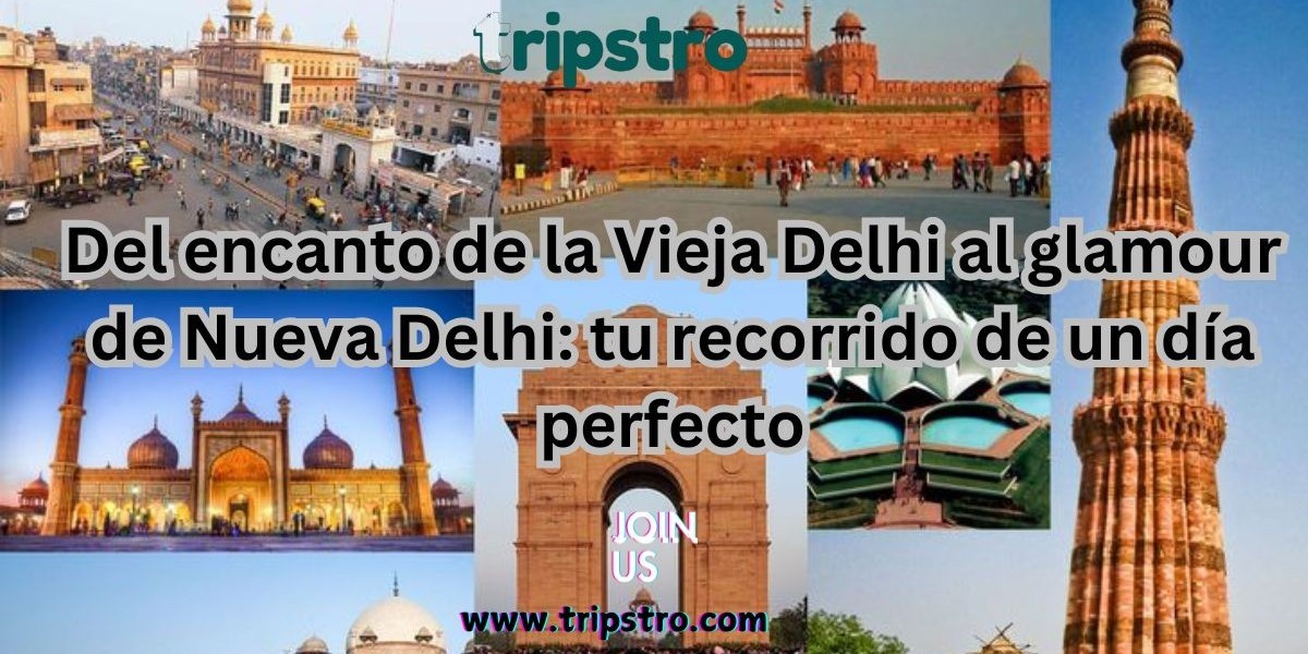 Del encanto de la Vieja Delhi al glamour de Nueva Delhi: tu recorrido de un día perfecto