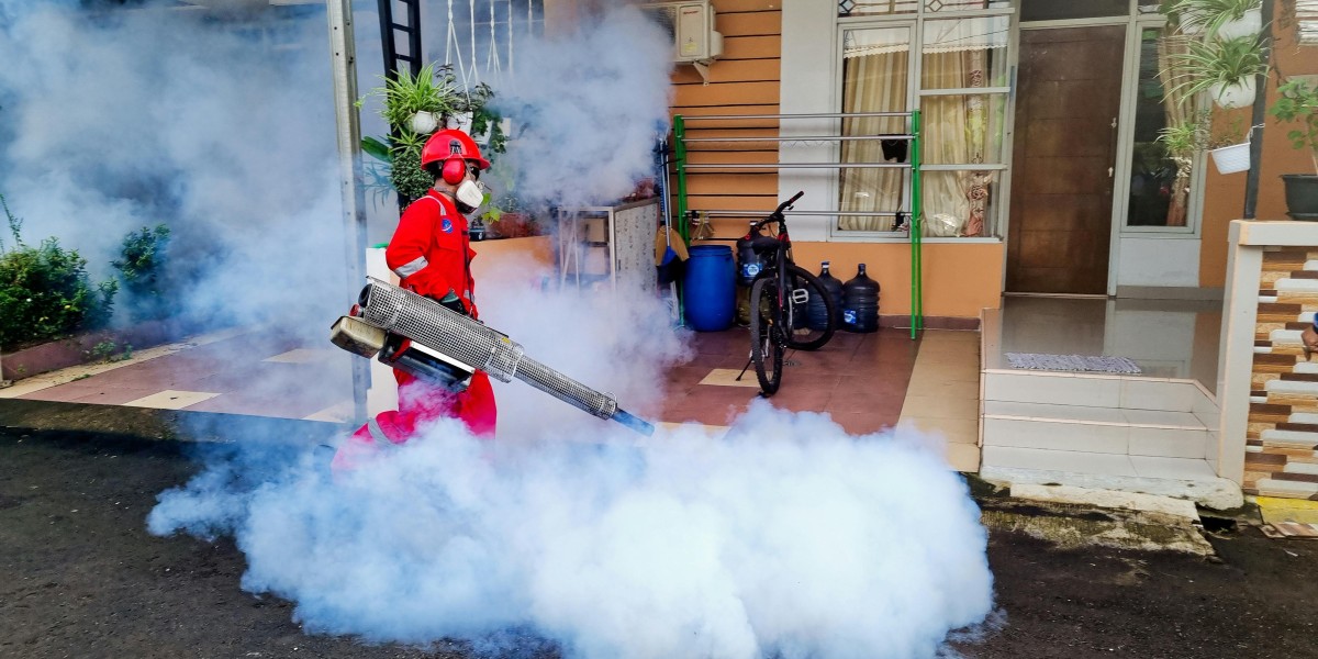 Professional Pest Control in Tarneit: Safeguard Your Property