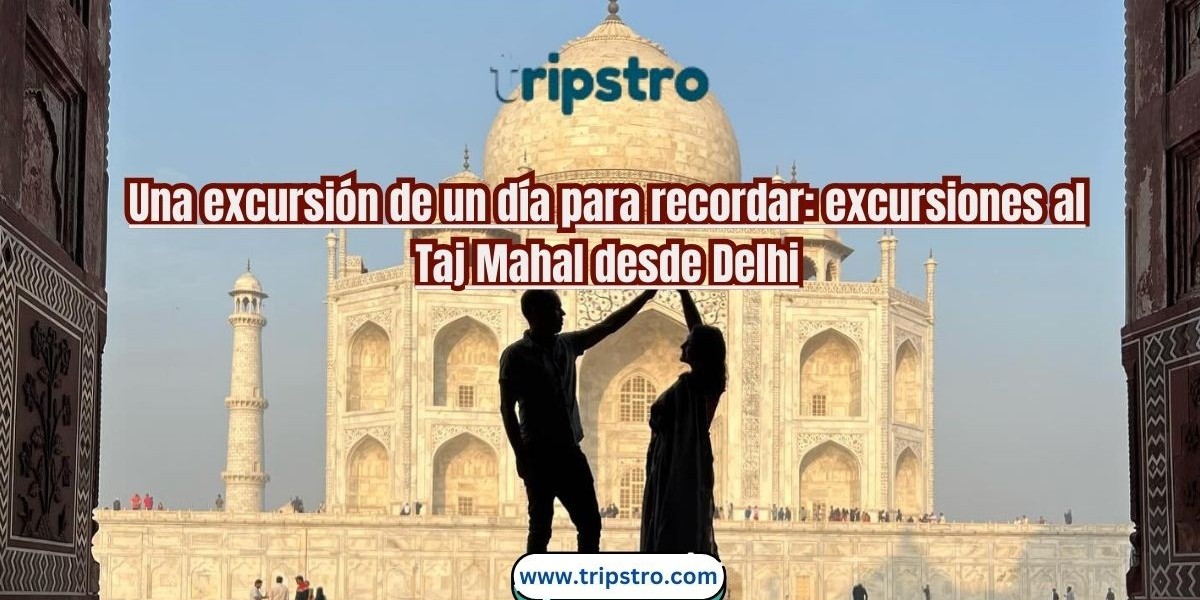 Una excursión de un día para recordar: excursiones al Taj Mahal desde Delhi