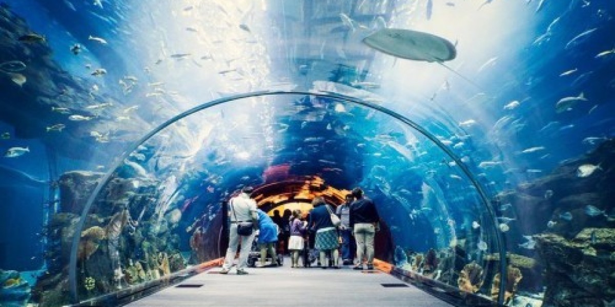 Dive Into the Wonders of the Deep with the Dubai Aquarium and Underwater Zoo Ticket