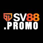 SV88 Profile Picture