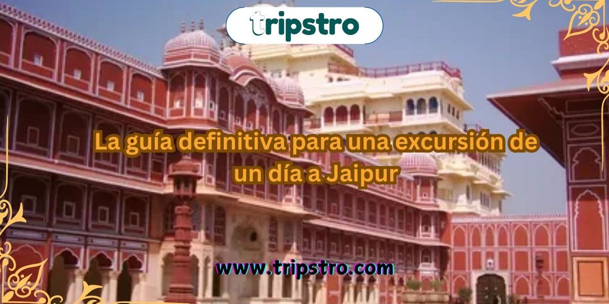 La guía definitiva para una excursión de un día a Jaipur