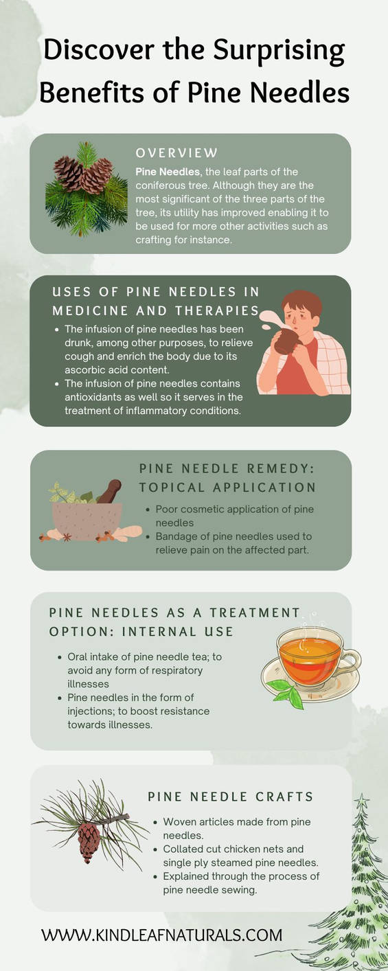 Discover the Surprising Benefits of Pine Needles