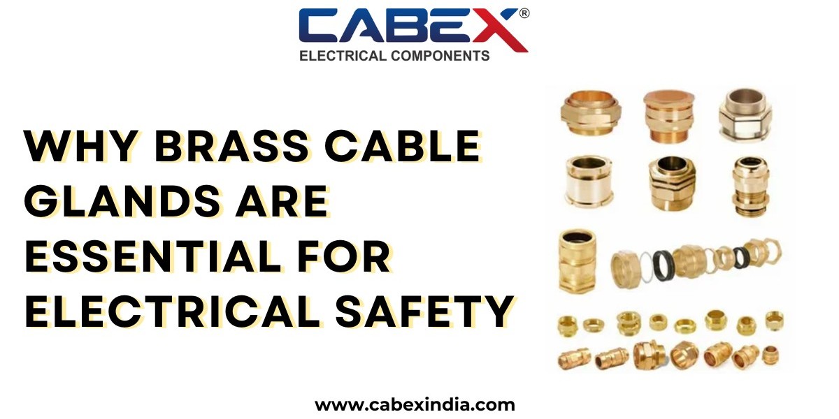 Why Brass Cable Glands are Essential for Electrical Safety