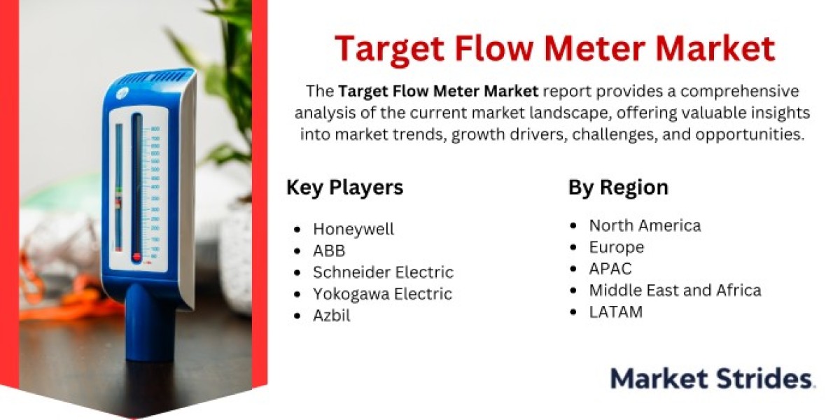 Target Flow Meter Market Insights: Regional Developments, Top Players, and Future Trends 2024-2032