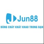 jinjun88com profile picture