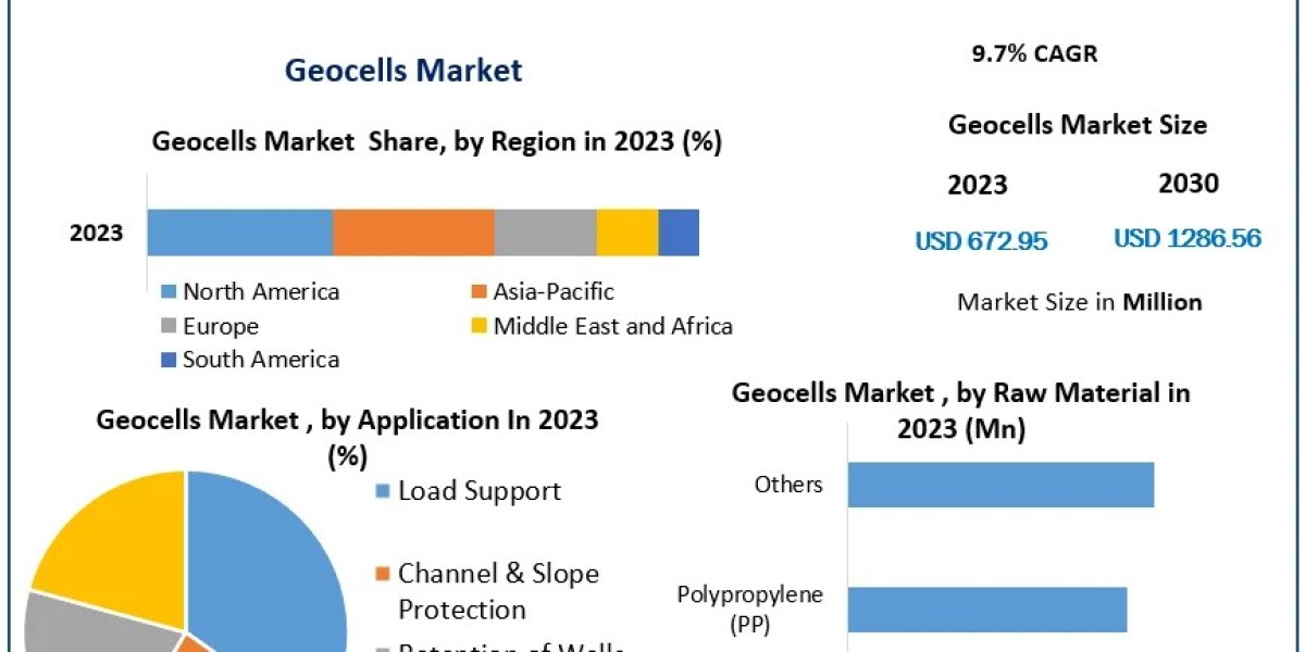 Geocells Market Size Chronicles: Unraveling Market Trends and Emerging Technologies | 2024-2030