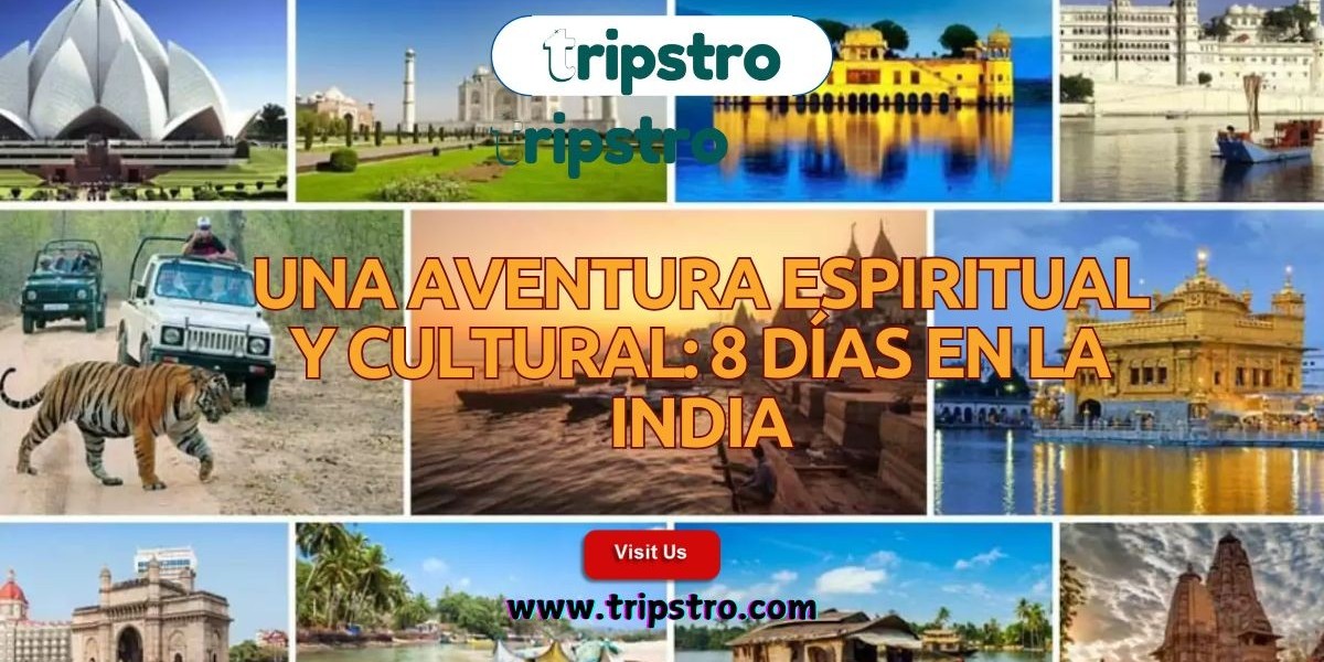 Una aventura espiritual y cultural: 8 días en la India