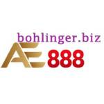 bohlingerbiz Profile Picture