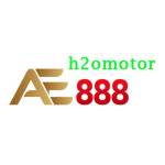 AE888 Profile Picture