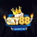 SKY88 Profile Picture