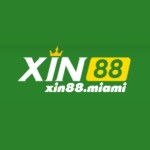 XIN88 miami Profile Picture