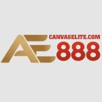 AE888 canvaselite Profile Picture