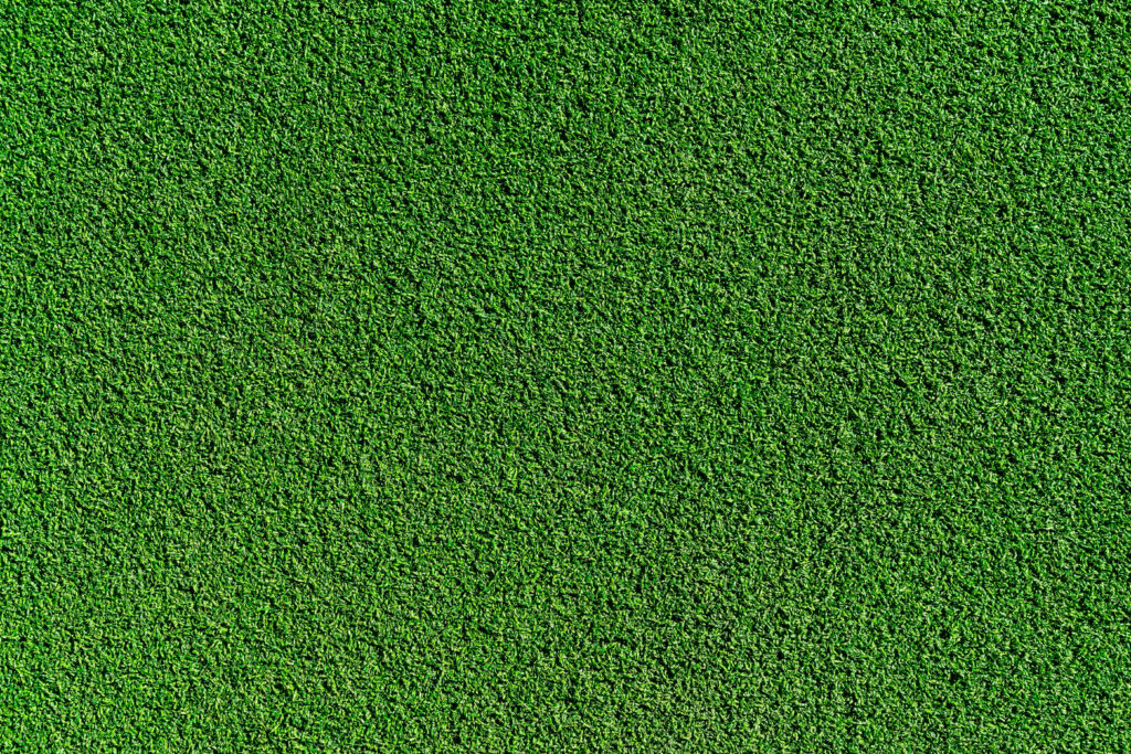 Need a Reliable Company for Professional Turf Ground Development? - Get Top Lists