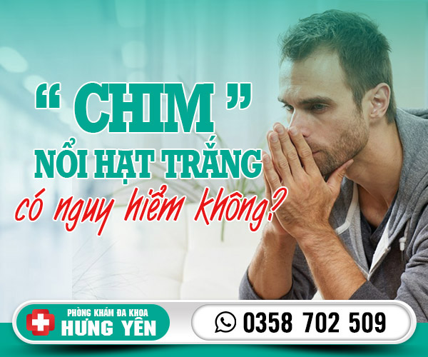 Chim nổi hạt trắng có nguy hiểm không?