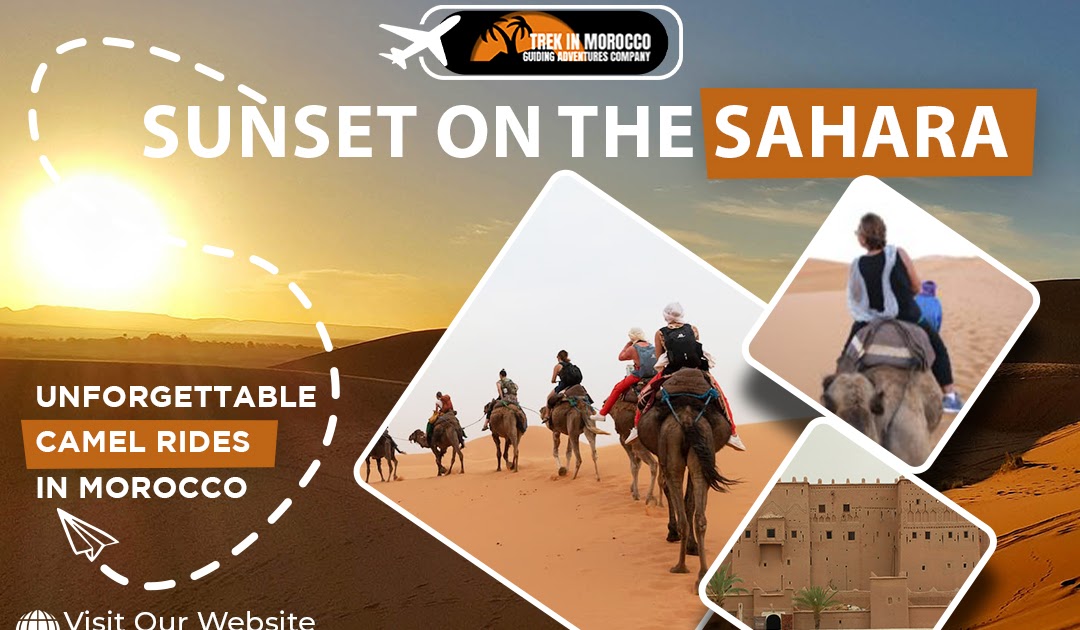 Sunset on the Sahara: Unforgettable Camel Rides in Morocco