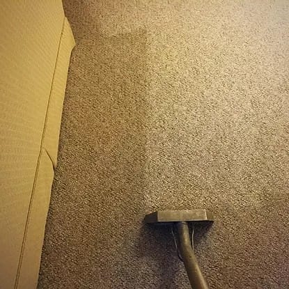 Professional Carpet Cleaning Service in Hampton Roads