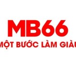 MB66 Profile Picture